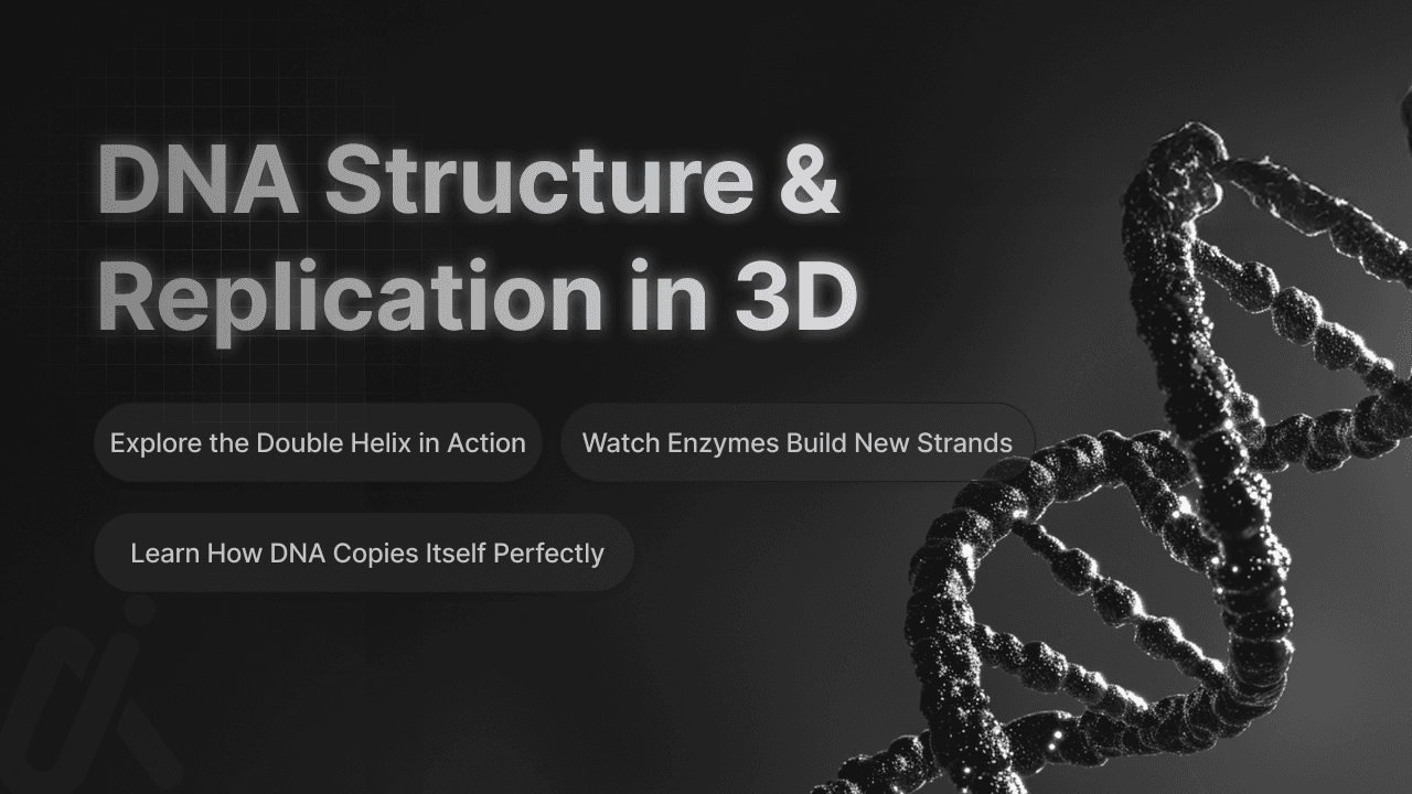 Learn How DNA Copies Itself Perfectly